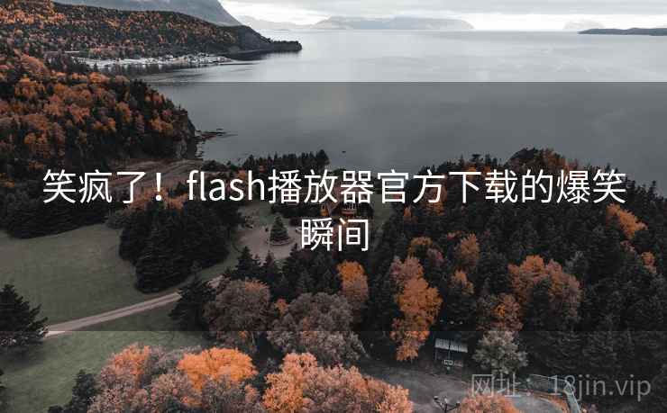 笑疯了！flash播放器官方下载的爆笑瞬间