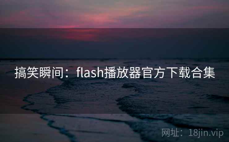 搞笑瞬间：flash播放器官方下载合集