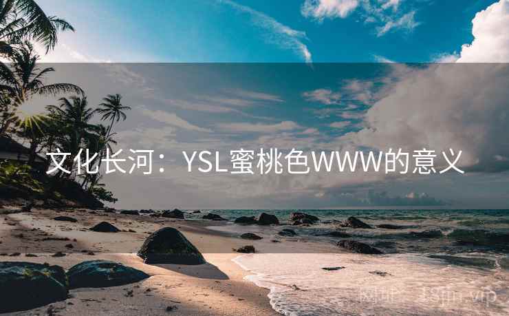 文化长河：YSL蜜桃色WWW的意义