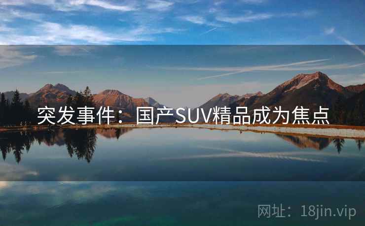 突发事件：国产SUV精品成为焦点